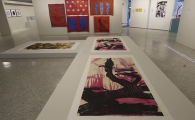 Museu de Arte de Brasília recebe a exposição 