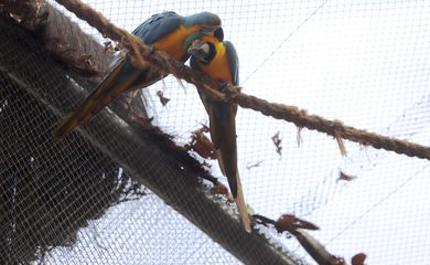 BioParque