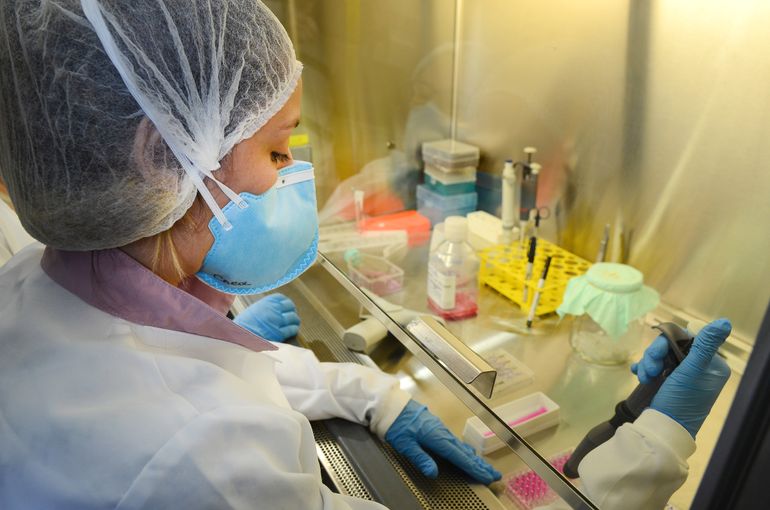 São Paulo - Pesquisadores Jean Pierre Schatzmann Peron e Patricia Baleeiro Beltrão Braga falam sobre pesquisa da USP referente ao Zika virus  (Rovena Rosa/Agência Brasil)