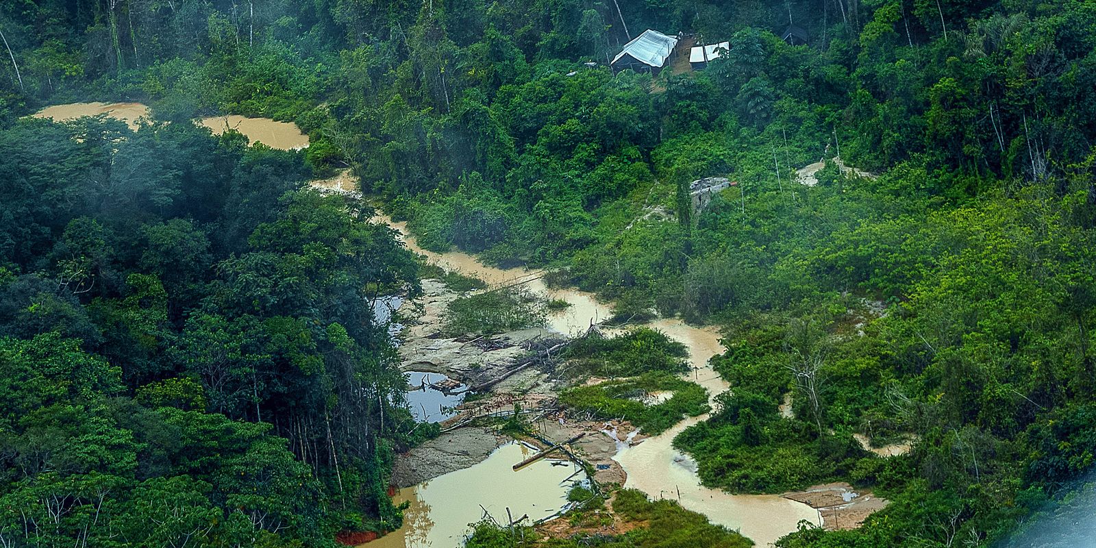 Greenpeace informa registro de 176 escavadeiras em terras Yanomami