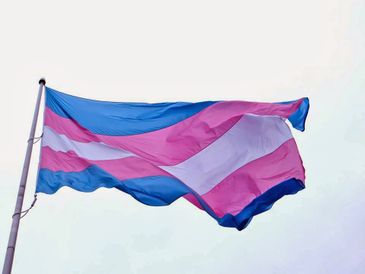 Bandeira do Orgulho Trans