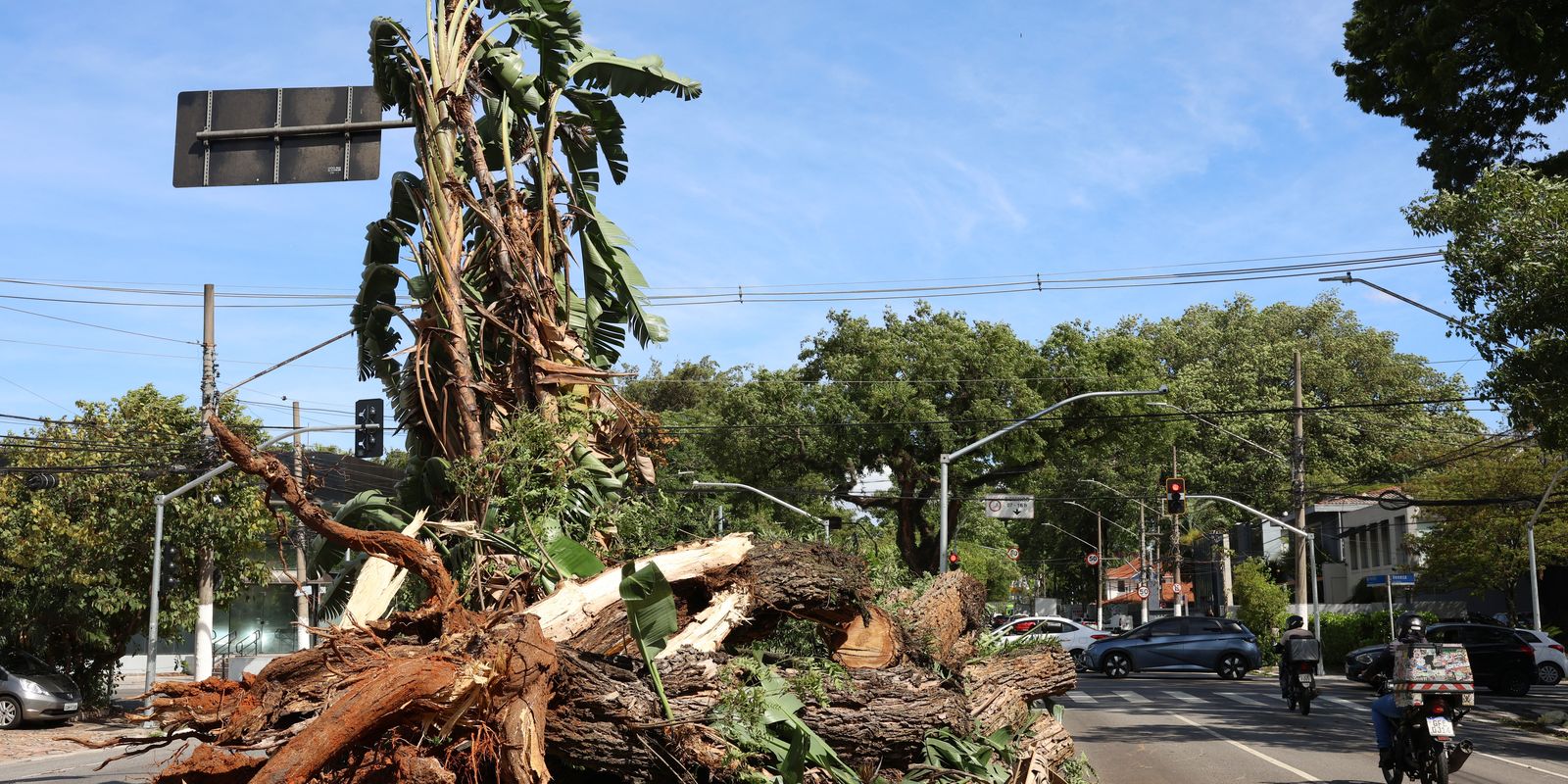 São Paulo enfrenta ventos de quase 100 km/h nesta quarta-feira