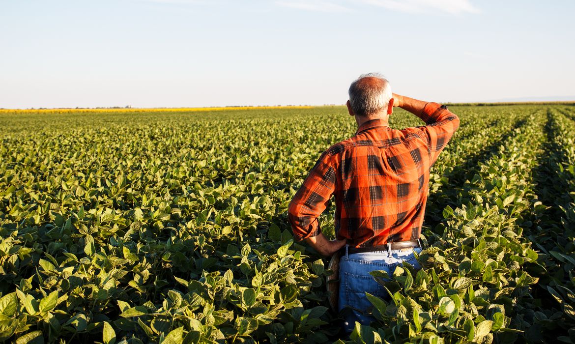 Farmer standing in a field and looks into the distance