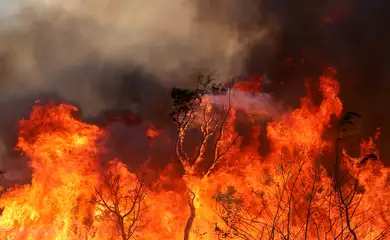 Brasília, DF 15-09-2024 Um Incendio atingiu o Parque Nacional de Brasília. Bombeiros e populares tentavam conter as chamas Foto: Fabio Rodrigues-Pozzebom