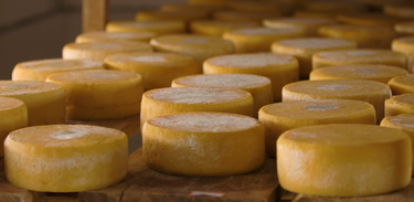 Agro Nacional queijo da Canastra