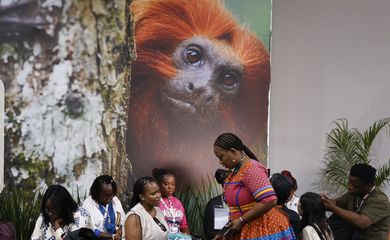 Belém (PA), 07/11/2025 - Pavilhões da COP30.<br />
Foto: Tânia Rêgo/Agência Brasil