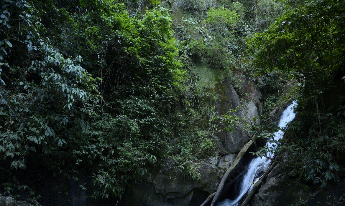 Cachoeira do Horto no percurso de trilhas dentro da mata atlântica na Floresta da Tijuca, no Rio de Janeiro