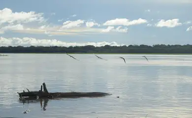 Pelos rios próximos à capital amazonense é comum encontrar pescadores nas portas das casas. Foto: Tomaz Silva/Agência Brasil
