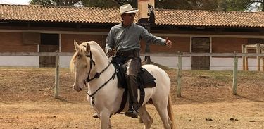 Muares, mulas e burros são resultantes de cruzamento de jumento com égua ou ca-valo com jumenta, espécie denominada de muares